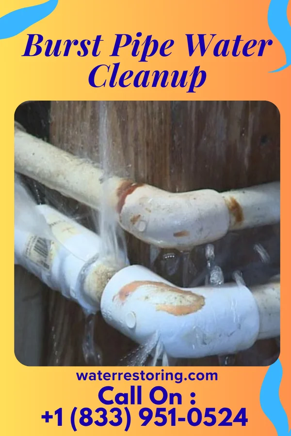 Burst Pipe Water Cleanup in Jeannette, PA