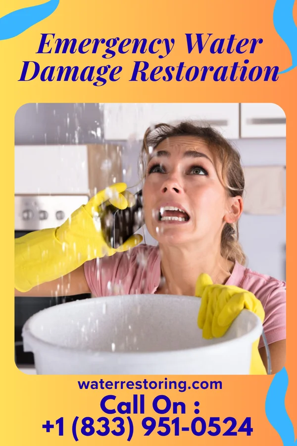 Emergency Water Damage Restoration in Jeannette, PA