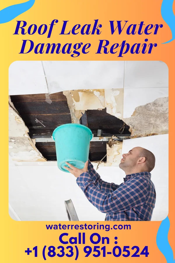 Roof Leak Water Damage Repair in Jeannette, PA