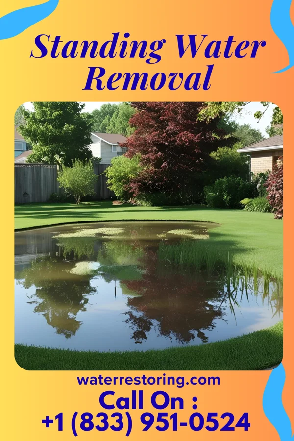 Standing Water Removal in Jeannette, PA
